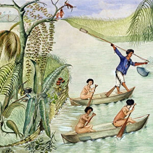 Manati Hunting, Lake Nicaragua, 1867 (w/c on paper)
