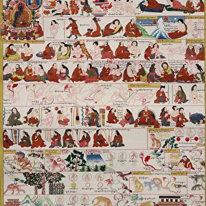 Manuscript on Tibetan medicine
