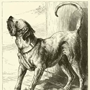 The Mastiff (engraving)