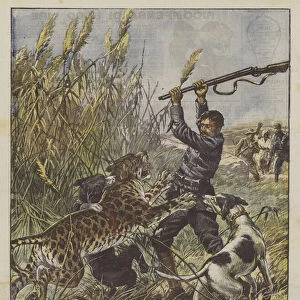A mayors fight with a panther, in Algeria (colour litho)