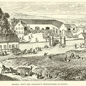 Messrs, Moet and Chandons Vendangeoir at Bouzy (engraving)