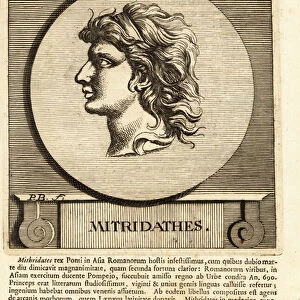 Mithradates VI Eupator of Pontus, 1782 (engraving)