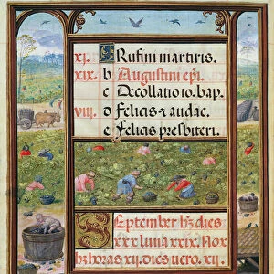 The month of September, miniatures from Livro de Horas de Dom Manuel