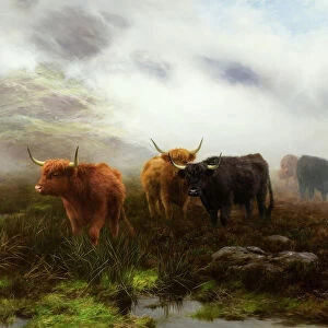 Farm Greetings Card Collection: Cattle