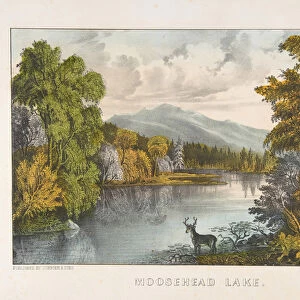 Lakes Cushion Collection: Moosehead Lake