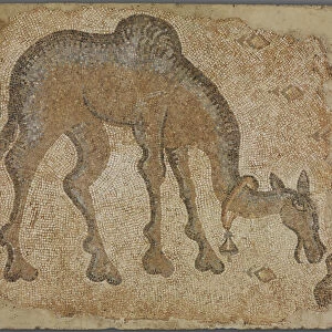 Mosaic fragment with grazing camel (stone in mortar)