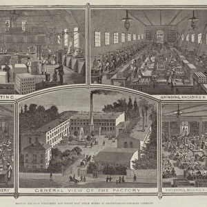Mouson and Companys Perfumery and Toilet Soap Steam Works at Frankfort-on-the-Main, Germany (engraving)