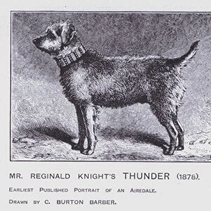 Mr Reginald Knights Thunder, 1878 (litho)