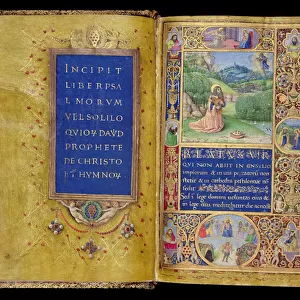 Ms 37-1950, ff. 1v-2r: Title page and miniature of King David in prayer