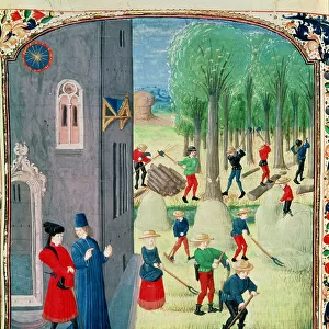 Ms. Lat 1173 Haymaking and Woodcutting, from the Hours of Charles d Angouleme, c