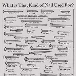 Nails (litho)