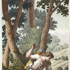 Narcissus into a flower or Narciso al Fonte, Book III, illustration from Ovid