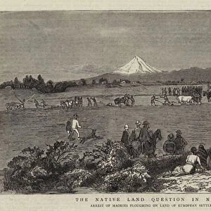 The Native Land Question in New Zealand (engraving)