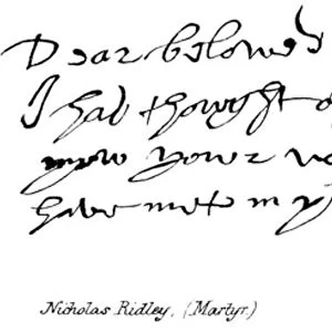 Nicholas Ridley, (Martyr) (engraving)