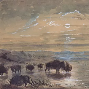 Night Scene, Buffaloes on the Prairie, c. 1837 (w / c on paper)