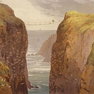 North of Ireland, Carrick-a-Rede (colour litho)