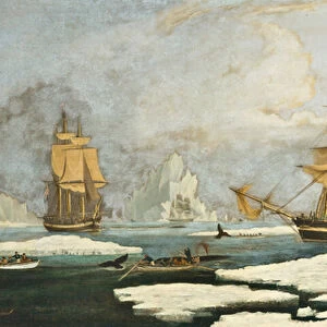 The Northern Whale Fishery: The ship Harmony of Hull and other ice-bound whalers