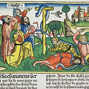 Numbers 21 4-9 Poisonous snakes bite rebellious Israelites