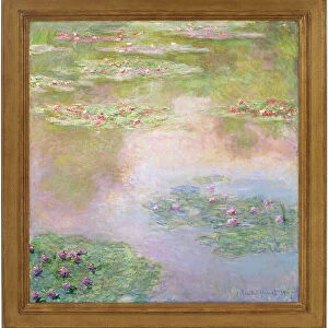 Nympheas, 1907 (oil on canvas)