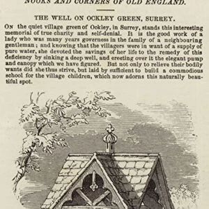 The Well on Ockley Green, Surrey (engraving)