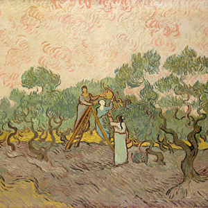 The Olive Pickers, Saint-Remy, 1889 (oil on canvas)