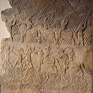 Oriental art of antiquity: battle scene. Low relief of Assurbanipal Palace