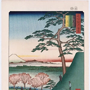 Original Fuji, Meguro, from the series One Hundred Views of Famous Places in Edo (colour woodblock print)