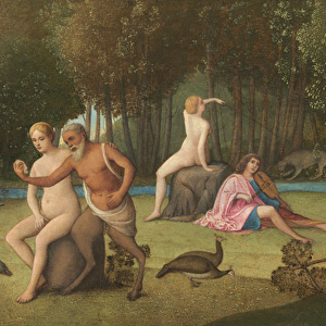 Orpheus, c. 1515 (oil on panel transferred to canvas)