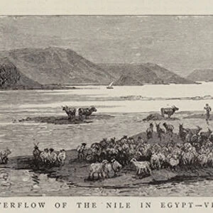 The Overflow of the Nile in Egypt, View of Kafr-es-Sayad (engraving)