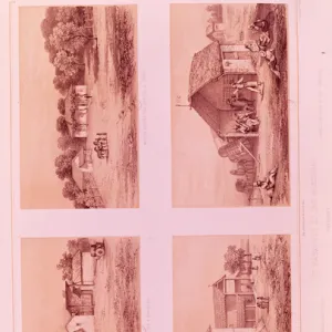 South America Metal Print Collection: Paraguay