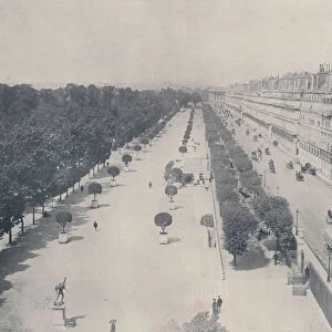 Paris: Rue de Rivoli and Terrace of the Tuileries Garden (b / w photo)