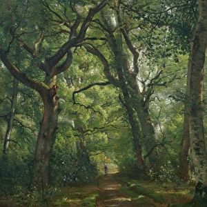 Path in the Forest, 1864 (oil on canvas)