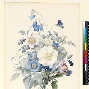 PD. 847-1973 A Spray of Summer Flowers, 1820 (w / c & gouache on vellum)