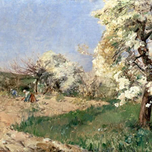 Pear Blossoms, Villiers-de-Bel (oil on panel)