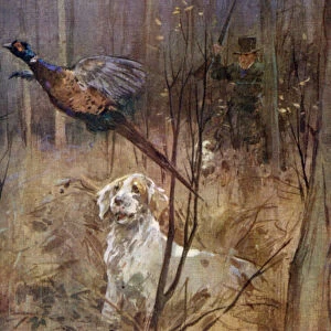 Pheasant shooting old style (colour litho)