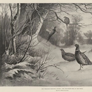 The Pheasant-Shooting Season, the Sheltered End of the Wood (litho)