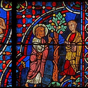 Philip, Nathaniel, fig tree (w0) (stained glass)