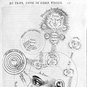 Physiognomy image (phrenology) from Collectio Operum by Robert Fludd