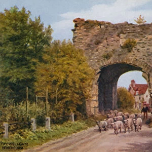 Pipewell Gate, Winchelsea (colour litho)