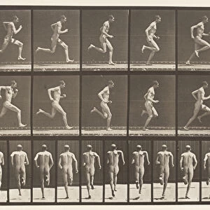 Plate 62. Running at Full Speed. 1872-85 (collotype on paper)