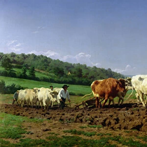Ploughing in Nivernais, 1849 (oil on canvas)