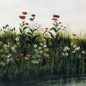 Poppies, Daisies and Thistles on a River Bank (w / c and gouache) (pair of 85964)