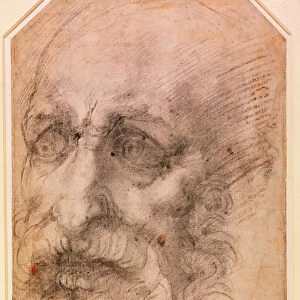 Portrait of a Bearded Man (black chalk on paper) (recto) (for verso see 191768)