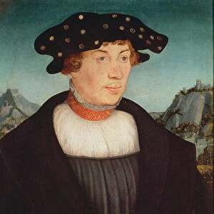 Portrait of Hans Melber, 1526 (oil on panel)
