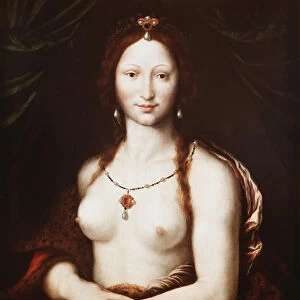 Portrait of Mona Vanna (oil on wood, 16th century)