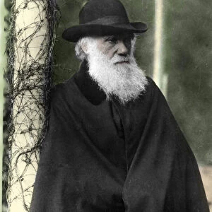 Portrait photographique de Charles Darwin (1809 - 1882), naturaliste anglais en 1881