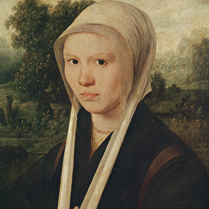 Portrait of a young woman, c. 1530 (oil on panel)