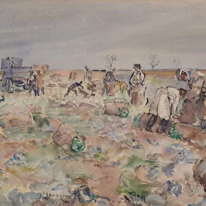 In the potato field, 1942 (Watercolour)