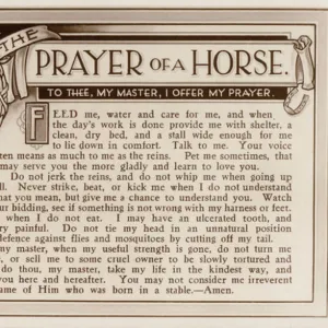 The prayer of a horse to its master in a plea to be treated well (b / w photo)