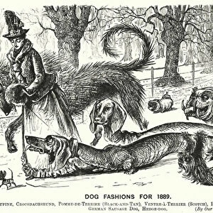 Punch cartoon: Dog Fashions for 1889 (engraving)
